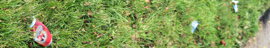 Unsere Wegwerfgesellschaft (Littering) Erarbeiten von Konzepten im Bereich Abfall, Recycling, Resourcenmanagment. : Wegwerfen,Entsorgen,Recycling,Resourcen,Abfallmanagment